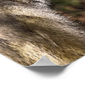 タマリンモンキー ポスター (角)