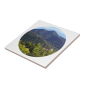 タマルパイスカラー タイル (側面)