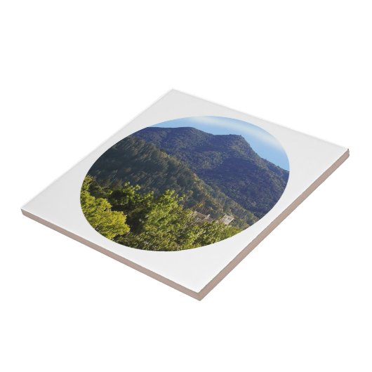 タマルパイスカラー タイル (側面)