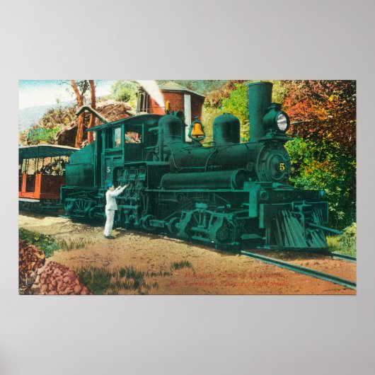 タマルパイス山鉄道列車の眺め ポスター (正面)