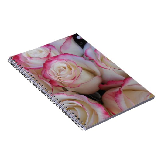 タマル ノートブック (右側)