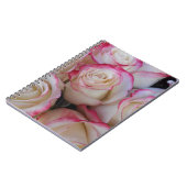 タマル ノートブック (左側)