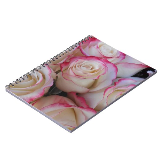 タマル ノートブック (左側)