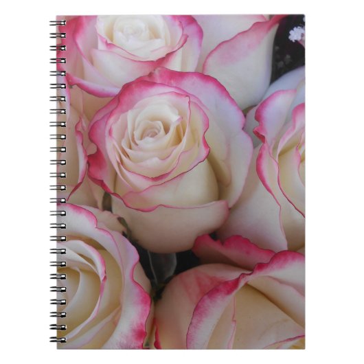 タマル ノートブック (正面)