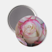 タマル マグネット (正面/裏面)