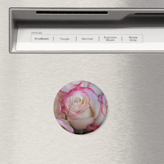 タマル マグネット (インサイチュ (食洗機))