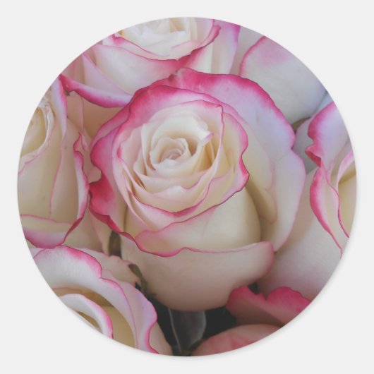 タマル ラウンドシール (正面)