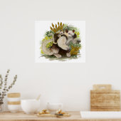 タマンデュアアンテーター ポスター (キッチン)