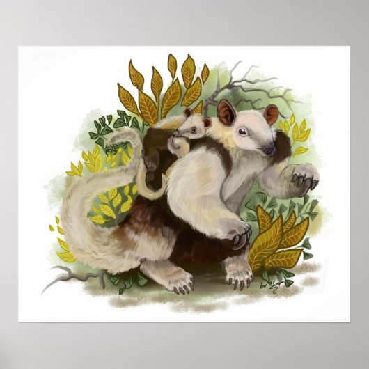 タマンデュアアンテーター ポスター (正面)