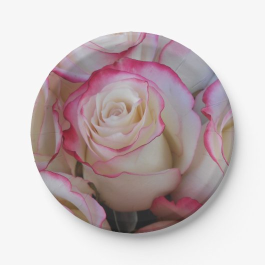 タマール ペーパープレート (正面)