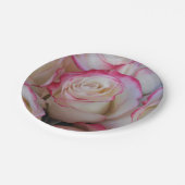 タマール ペーパープレート (アングル)