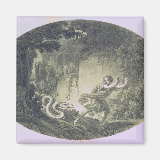 タミノは大蛇に追われた マグネット (正面)