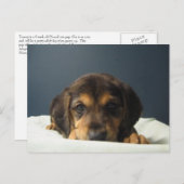 タミー ポストカード (正面/裏面)