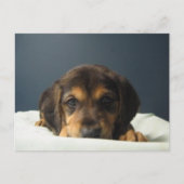 タミー ポストカード (正面)