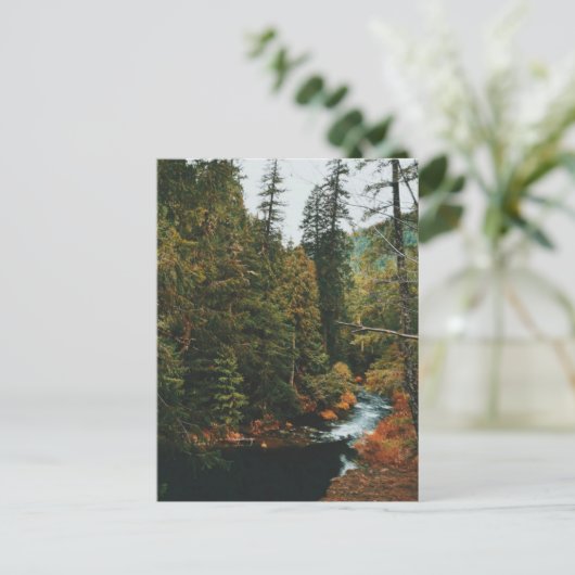 タモリッチ秋(ブループール) シーズンポストカード (スタンド正面)