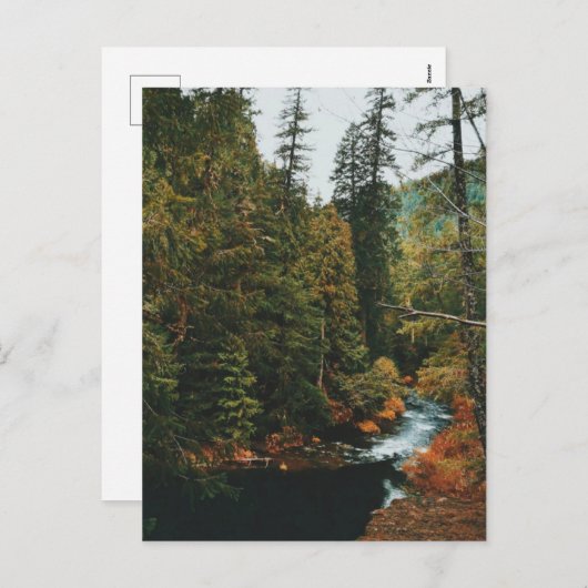 タモリッチ秋(ブループール) シーズンポストカード (正面/裏面)