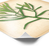 タラゴンフランスのハーブフォトプリント フォトプリント            (角)