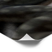 タラシヌス ポスター (コーナー)