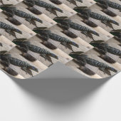 タラシヌス ラッピングペーパー (角)