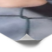 タラシャノンの羽 ポスター (角)