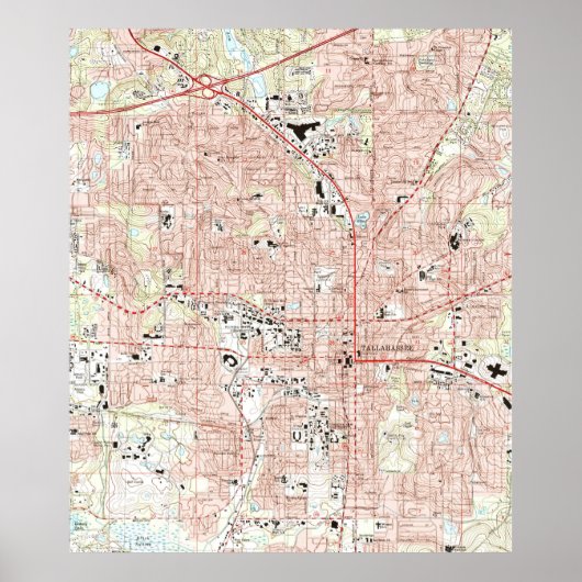 タラハシー・フロリダの地図(1999年) ポスター (正面)