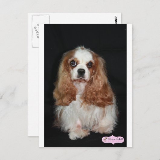 タララ ポストカード (正面/裏面)