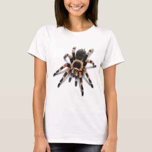タランチュラのくも Tシャツ