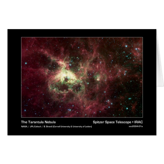 タランチュラの星雲- Spitzerの宇宙望遠鏡- I (正面横)