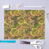 タランチュラガーデン1 薄葉紙 (クラフト)