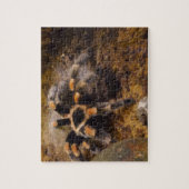 タランチュラジグソーパズル ジグソーパズル (縦)