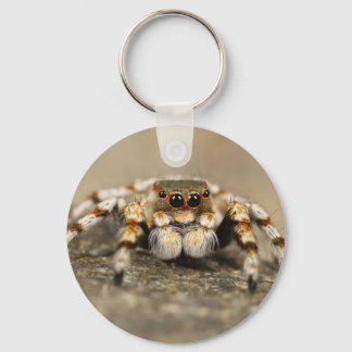 タランチュラジャンプバードスパイダーアクセサリー素晴らしズ キーホルダー
