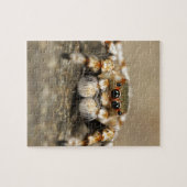 タランチュラジャンプバードスパイダーアクセサリー素晴らしズ ジグソーパズル (横)