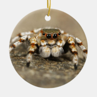 タランチュラジャンプバードスパイダーアクセサリー素晴らしズ セラミックオーナメント