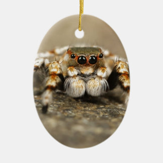 タランチュラジャンプバードスパイダーアクセサリー素晴らしズ セラミックオーナメント
