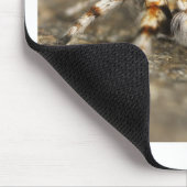 タランチュラジャンプバードスパイダーアクセサリー素晴らしズ マウスパッド (コーナー)