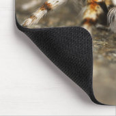 タランチュラスパイダーの驚くべきクローズアップ マウスパッド (コーナー)