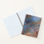 タランチュラ星雲の郊外 ノートブック (内部)
