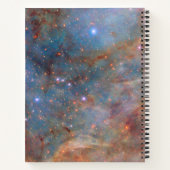 タランチュラ星雲の郊外 ノートブック (裏面)