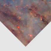 タランチュラ星雲の郊外 薄葉紙 (詳細)