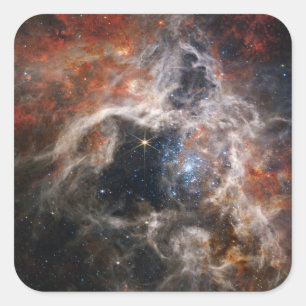 タランチュラ星雲ジェームズウェッブ望遠鏡nasaの星 スクエアシール