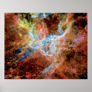 タランチュラ星雲 R136 NASA ハッブル宇宙写真 ポスター