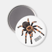 タランチュラ漫画イラストレーション マグネット (正面/裏面)