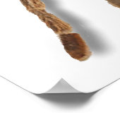 タランチュラ稲妻 ポスター (角)