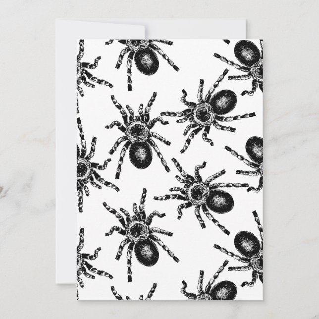 タランチュラ (正面)