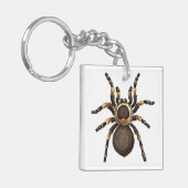 タランチュラ キーホルダー (正面左)