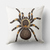 タランチュラ クッション (裏面)