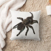 タランチュラ クッション (ブランケット)