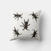 タランチュラ クッション (裏面)