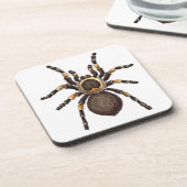 タランチュラ コースター (左側)