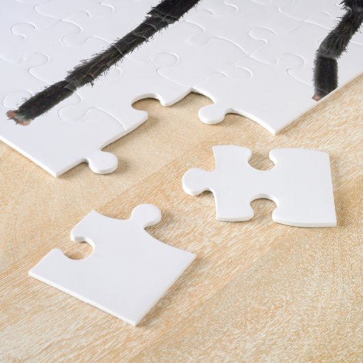 タランチュラ ジグソーパズル (側面)